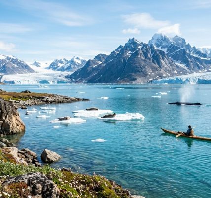 Hvordan Grønland kan forhindre olieudvinding i at ødelægge arktisk biodiversitet