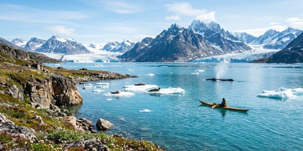 Hvordan Grønland kan forhindre olieudvinding i at ødelægge arktisk biodiversitet